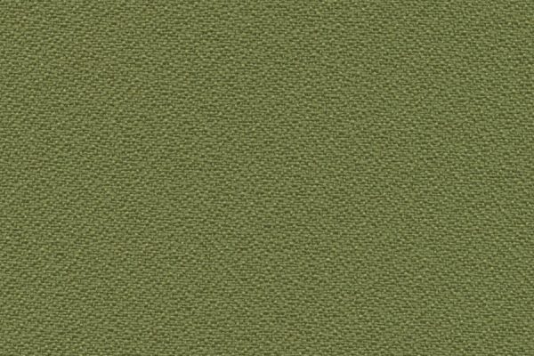 Anchorage 2334-2028-willow