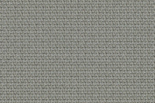 Theory 3006-010